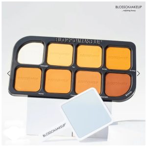 Blossom makeup zero flaws 8 in 1 powder