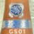 Gs01
